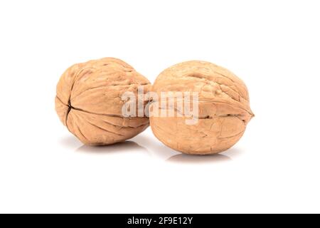 Two whole walnuts, close-up macro, isolated on a white background. Stock Photo