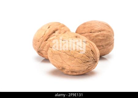 Three whole walnuts, close-up macro, isolated on a white background. Stock Photo