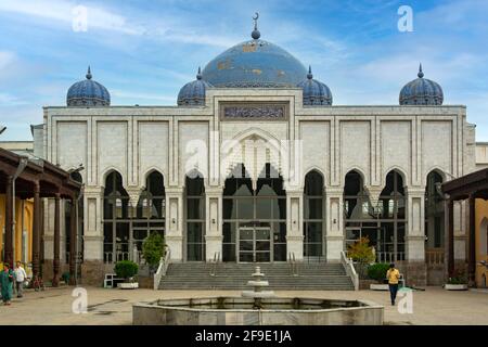 Tasodifan bir mushuk kirib spied