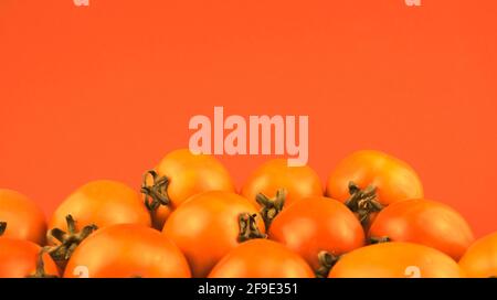 Still life, tomatoes vintage, retro style photography. Ripe yellow tomatoes with yellow gradient pastel background. Head on shot, horizontal style. Stock Photo