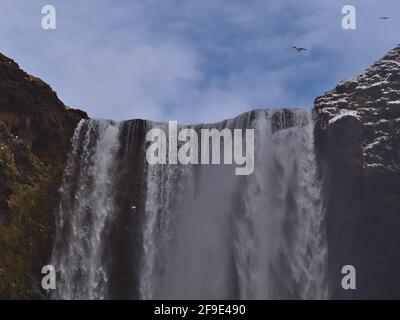 View of the top of famous waterfall Skógafoss (height 60m) located on the southern coast of Iceland near ring road in winter season with fulmar birds. Stock Photo