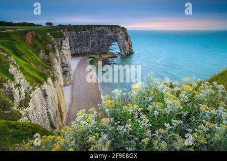 Beautiful scenery with colorful flowers on the slope and rocky coastline in Normandy, Etretat, France, Europe Stock Photo