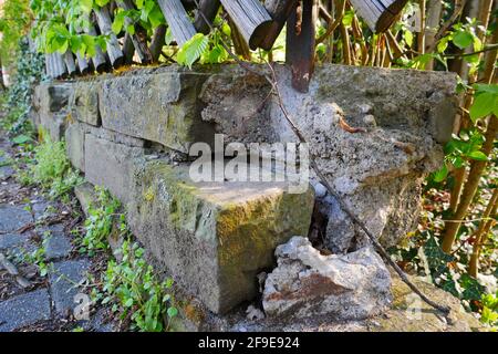 old broken and overgrown fence foundation for a wooden fence made of large bricks Stock Photo
