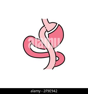 Gastric bypass Roux-en-Y olor line icon. Pictogram for web page, mobile app, promo. UI UX GUI design element. Editable stroke. Stock Vector
