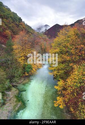 Mountain Stream Scenery. Serene Forest River Landscape. Peaceful ...