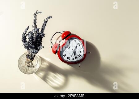 Top view of red alarm clock in shape of heart and bunch of fresh lavender flowers in vase arranged on beige background in studio Stock Photo