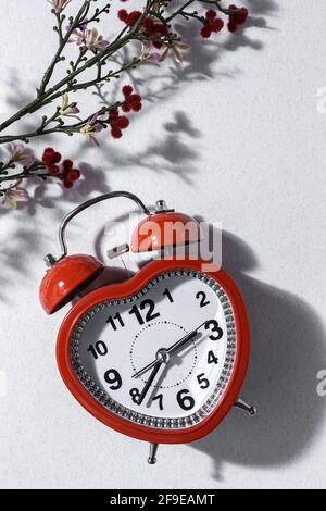 Top view of red alarm clock in shape of heart and bunch of fresh lavender flowers in vase arranged on white background in studio Stock Photo