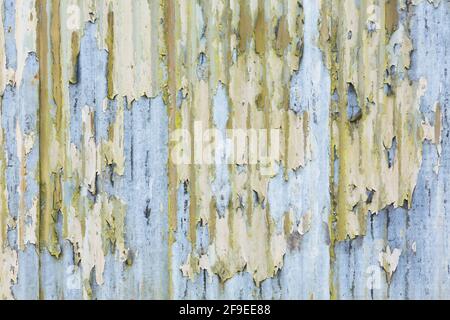 Corrugated metal iron texture with peeling paint. Grunge, vintage or urban theme background or template, UK Stock Photo