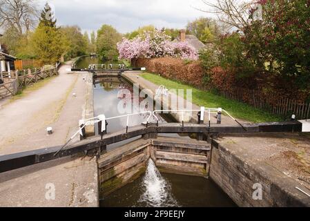 Canal lock and lock keepers cottage on the Grand Union Canal, London, UK Stock Photo