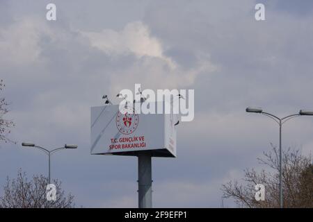 Big white signboard of the ministry of youth and sports on Turkey 'Genclik ve Spor Bakanligi' Stock Photo