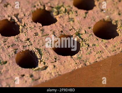 Hollow Red bricks in close up Stock Photo