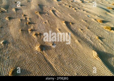 Aerial photography of desert sand fixation Stock Photo