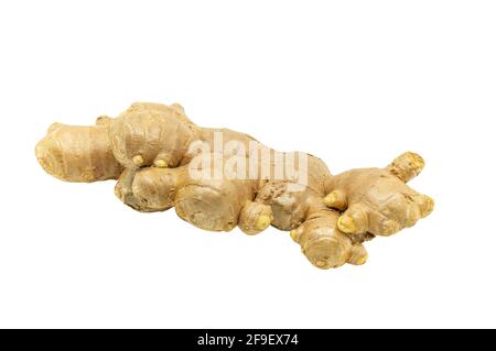 Old ginger, isolated a big brunch of whole fresh ginger on white background. Stock Photo