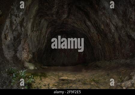 View into the entrance of a dark, tunnel-like cave in the Plitvitzer National Park. Stock Photo