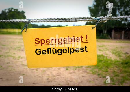 Sign at the entrance of a farm in Germany with the inscription restricted area avian influenza (Sperrgebiet Geflügelpest) Stock Photo