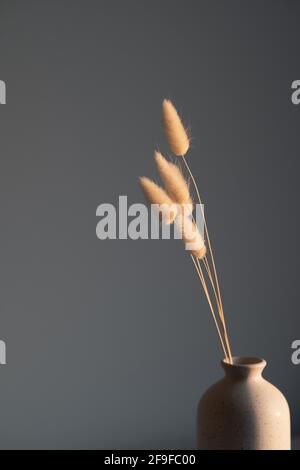Home interior floral decor. Dried flowers in ceramic vase at sunset. Scandinavian, nordic style still life. Stock Photo