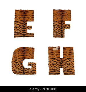 3D rendering of tiger fur alphabet - letters E-H Stock Photo