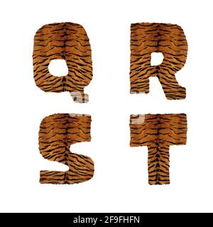 3D rendering of tiger fur alphabet - letters Q-T Stock Photo