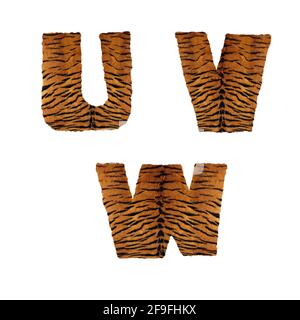 3D rendering of tiger fur alphabet - letters U-W Stock Photo