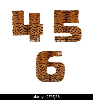 3D rendering of tiger fur alphabet - digits 4-6 Stock Photo