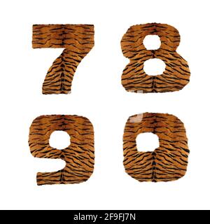 3D rendering of tiger fur alphabet - digits 7-0 Stock Photo