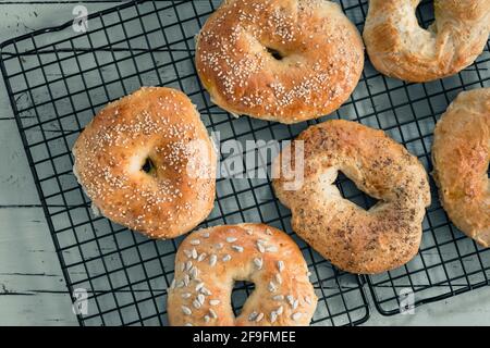 Homemade bagels lying on a cooling rack on a wooden table, top view. Stock Photo