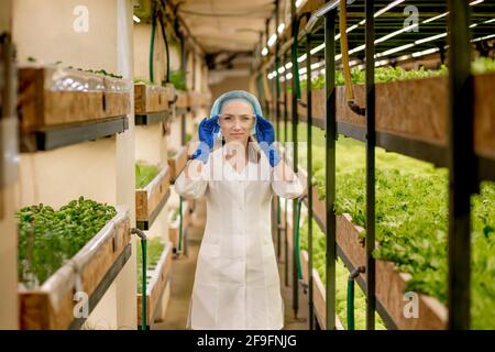 Young female engineer checking lettuce in a hydroponic garden Stock Photo