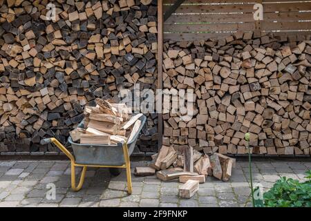 Stacked pile of firewood and a wheelbarrow with pieces of fire wood to be stockpiled Stock Photo