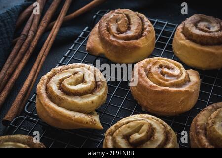 Homemade cinnamon rolls on a cooling rack with cinnamon sticks on dark blue background. Stock Photo