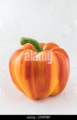 Orange and red "enjoya" bell pepper (capsicum) on white background with copy space. Vertical with copy space. Stock Photo