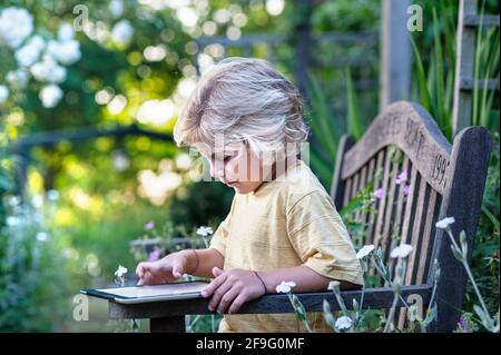 Childhood environment outdoors Infant blond boy 4-6 years outdoors concentrating with his smart tablet iPad computer in sunlit secure floral garden Stock Photo