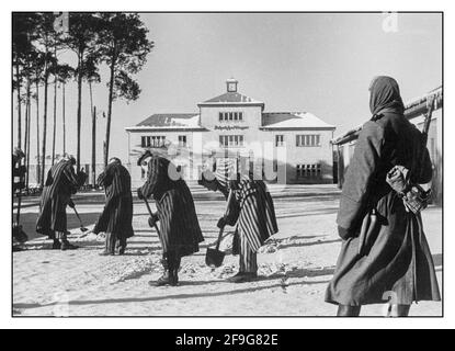 WW2 1940's NAZI CONCENTRATION CAMP Sachsenhausen concentration camp outside of Berlin in winter with prisoners wearing striped uniforms clearing the pathway of snow Nazi Germany  World War II Nazi Germany Stock Photo