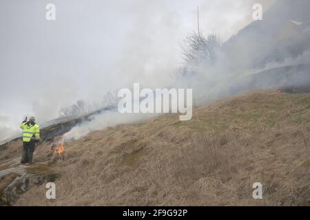 gressforbrenning i Sunnfjord, grass burning in Norway, Norge, Noreg Stock Photo