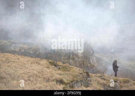 gressforbrenning i Sunnfjord, grass burning in Norway, Norge, Noreg Stock Photo