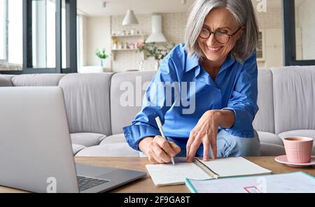 Mature senior woman is having e learning remote class. Stock Photo