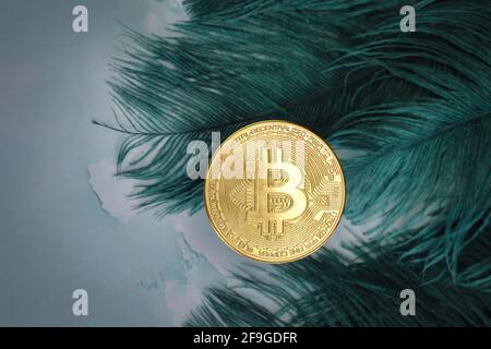 Golden Bitcoins Cryptocurrency top view stack of Digital coins on gray marble desk table green feathers background.Flat lay blank text.Copy space for Stock Photo