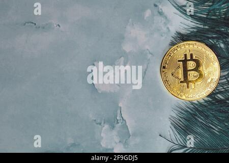 Golden Bitcoins Cryptocurrency top view stack of Digital coins on gray marble desk table green feathers background.Flat lay blank text.Copy space for Stock Photo