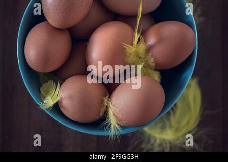 Brown eggs in a blue ceramic bowl on a wooden table, close up, above vantage point photography, still life photography Stock Photo