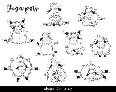Yoga pets. Lovely sheep get up in an asana and go in for sports, gymnastics and meditate. Sheep yoga - set of linear decorative pictures. Vector Stock Vector