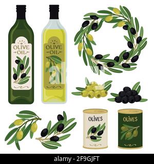 Olives and olive oil Stock Vector