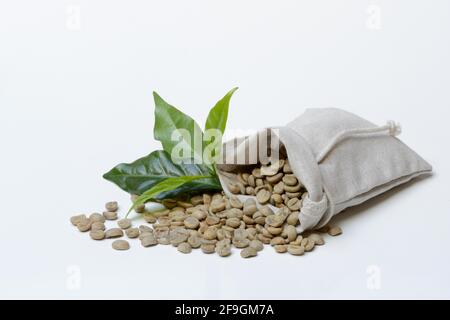 Green, unroasted coffee beans in bags, coffee leaves, Germany Stock Photo