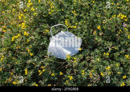 Disposable protective face mask discarded on marine plants habitat,medical covid19 pandemic sea pollution Stock Photo