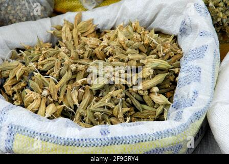 Dried Okraschoten, Rose poplar, Gumbo, Gombo (Abelmoschus esculentus) , Vegetable marshmallow, Market, Uerguep, Cappadocia, Turkey Stock Photo