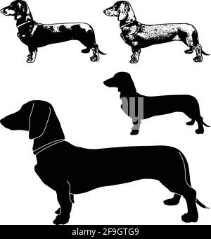 dachshund dog silhouette and sketch illustration - vector Stock Vector