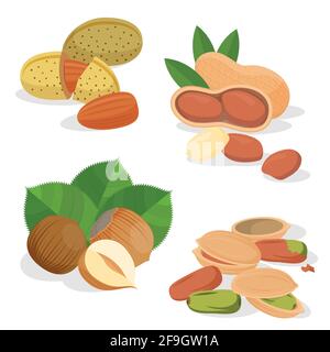 Set vector icons nuts and seeds Stock Vector
