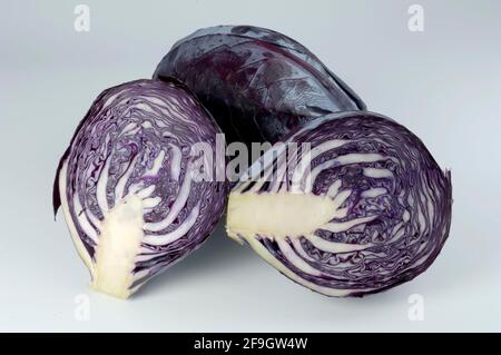 Red cabbage (Brassica oleracea var. rubra) Stock Photo