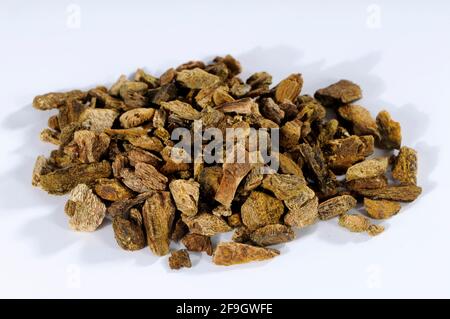 Dried (Rheum palmatum) rhubarb root, rhubarb, root Stock Photo