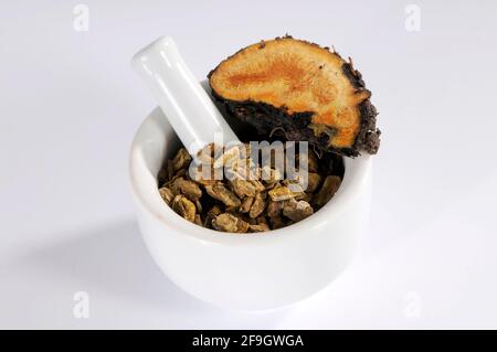 Dried (Rheum palmatum) and fresh rhubarb root, rhubarb, root, mortar Stock Photo