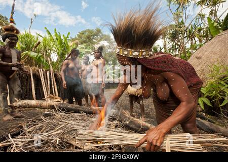 Dani tribe preparing earth oven, Baliem valley, West Papua, Dani, Indonesia Stock Photo