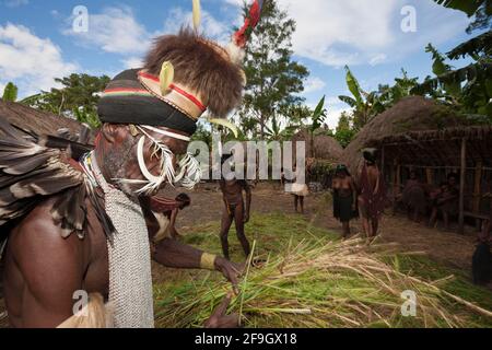 Dani tribe preparing earth oven, Baliem valley, West Papua, Dani, Indonesia Stock Photo